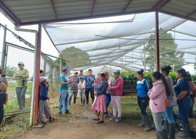 La agricultura es la profesión propia del sabio, la más adecuada al sencillo y la ocupación más digna para todo hombre libre